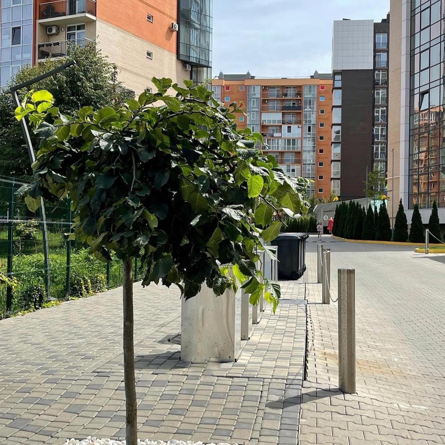 Vodogray Luxury Apartments With Underground Parking Елітний Житловий Комплекс แชร์นิฟซี ภายนอก รูปภาพ